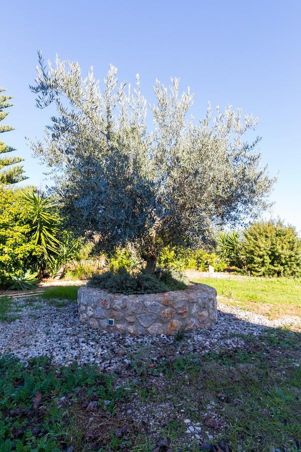 Can Tut Campanet Exterior photo
